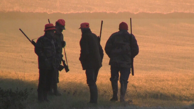 Impossible de lire la video