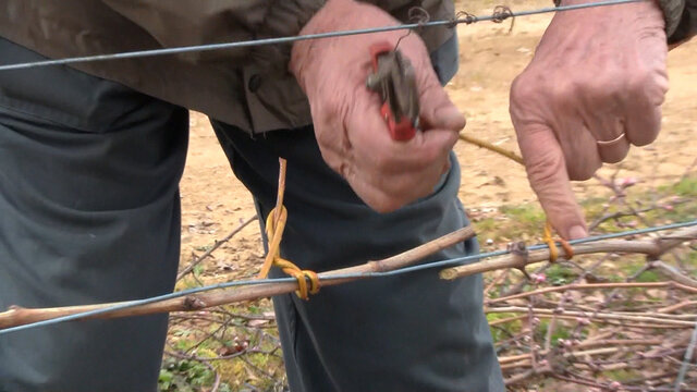 Impossible de lire la video